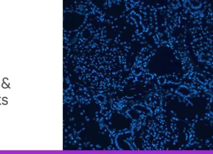 October 19 banner 1