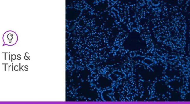 October 19 banner 1