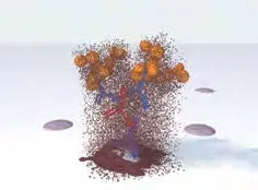 ImmPRESS® Two-Step Amplified Polymer Systems 5 immpress 2 step Add enzyme substrate