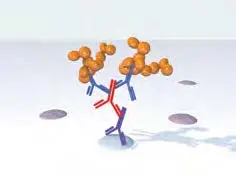 ImmPRESS® Two-Step Amplified Polymer Systems 4 immpress 2 step Add immpress excel reagent