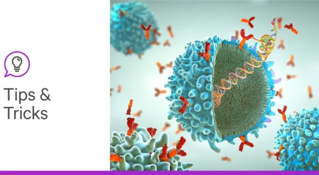 Immunotherapy and Glycans