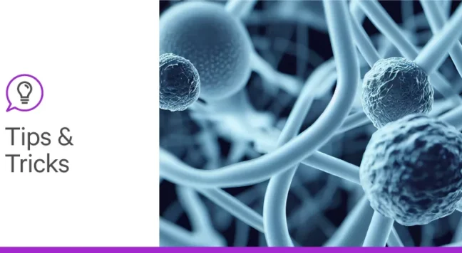Identifying Cancer Biomarkers with IHC/IF