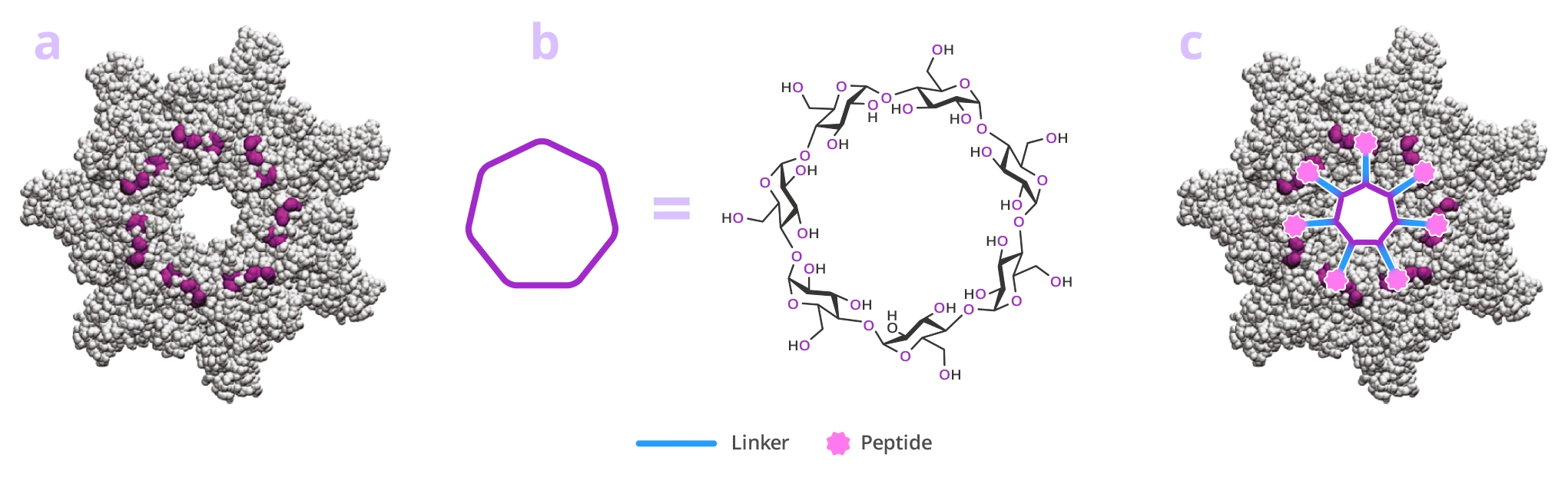 cc crosslinking dpeg fig6