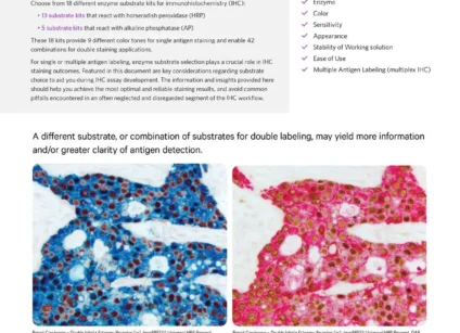 VL LIT3015 Enzyme Substrates Brochure Cover