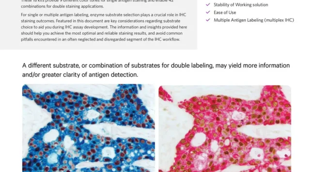 VL LIT3015 Enzyme Substrates Brochure Cover