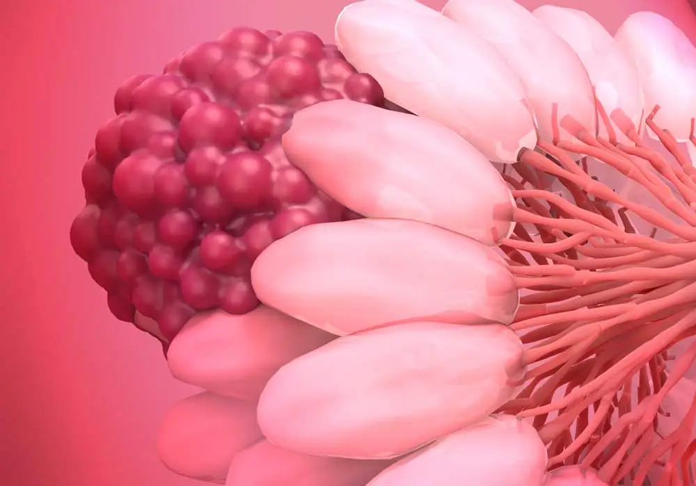 AdobeStock 373181032 cropped