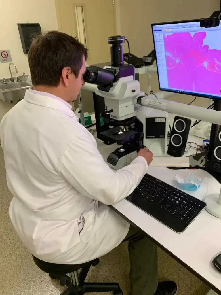 Eric Peterson Lab2