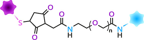 Fig 0 maleimide crosslinker selection pic 01