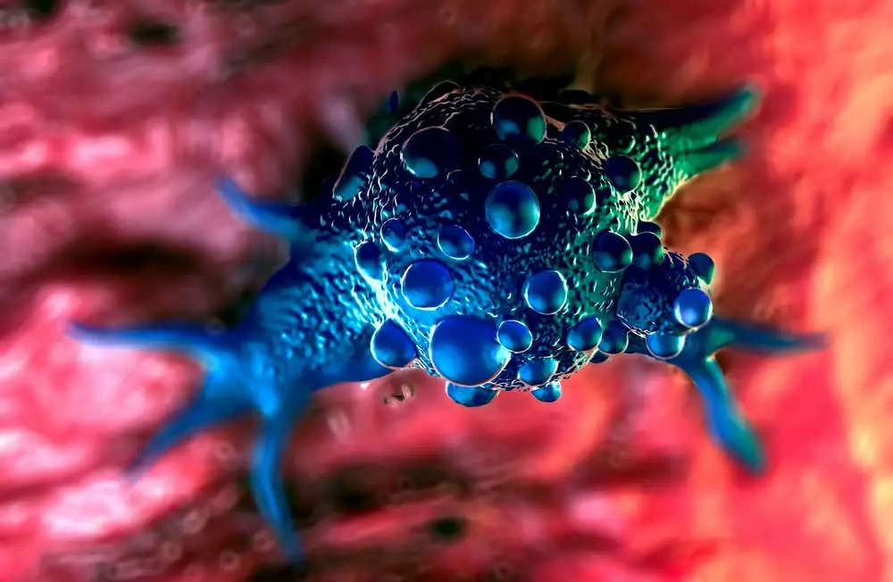 HOMER3 bladder cancer