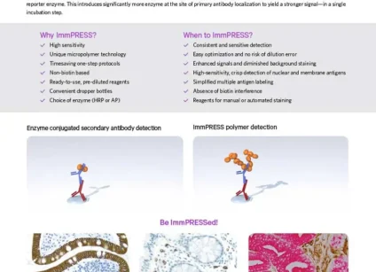 LIT3012 ImmPRESS Detection Brochure cover