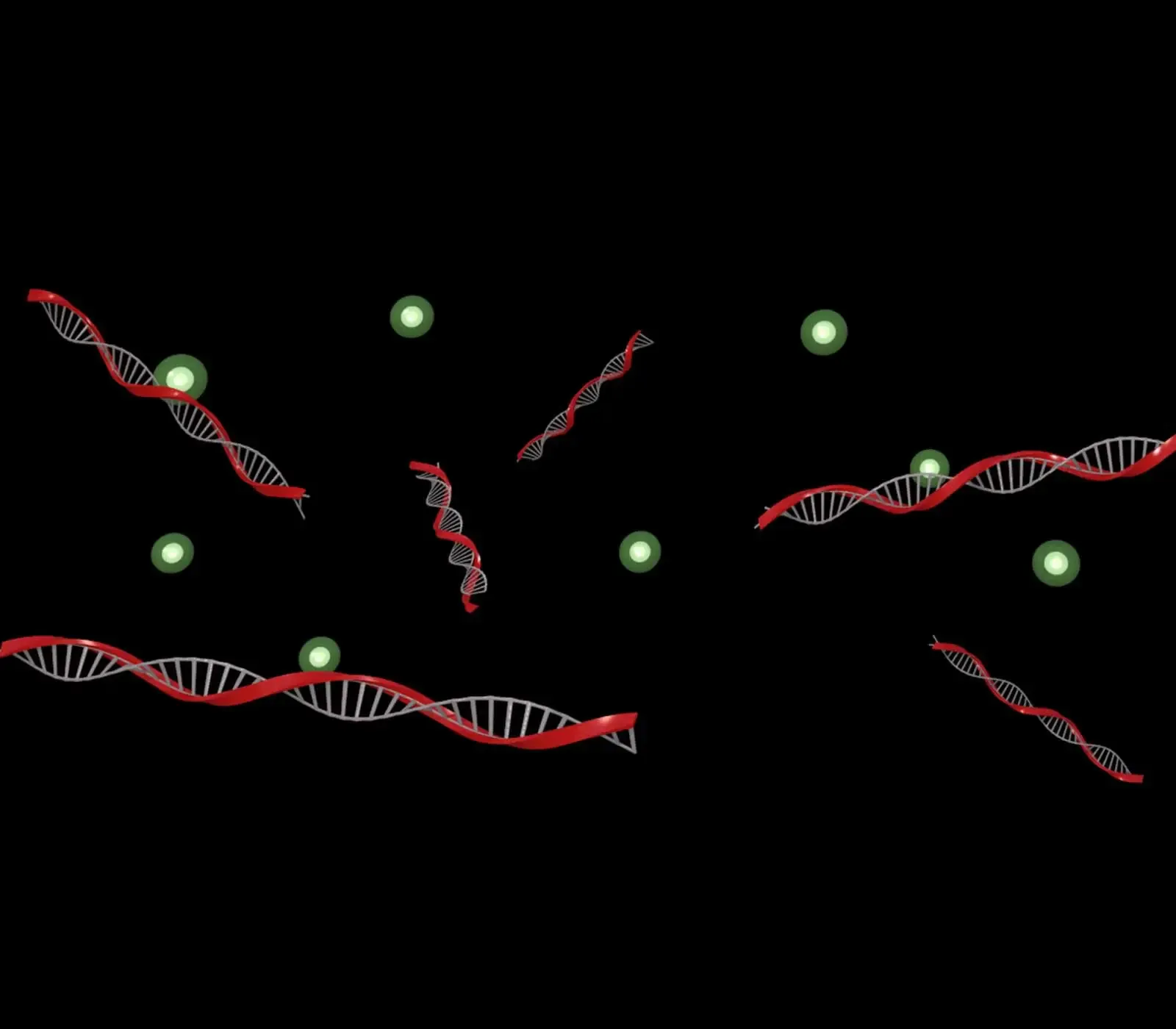 Probe Nucleic Acid labeling 1600x1400 1