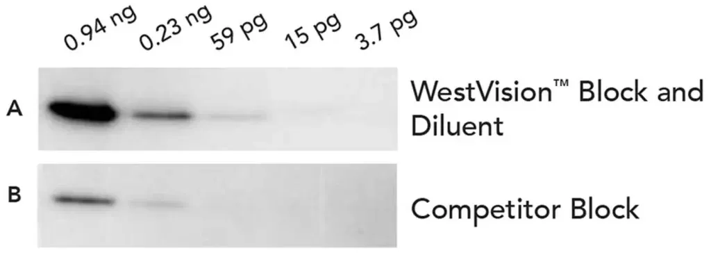 SP 7000 1600 2 2 SP 7000 1600 2 2
