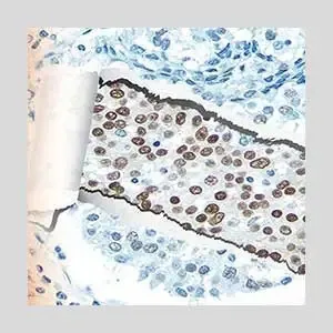 Topic3 image