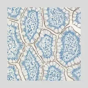 Topic5 image