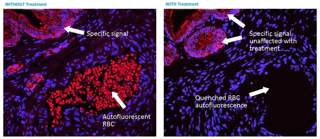 Autofluorescence Quencher 1 TrueVIEW wwout edited 1024x445 1