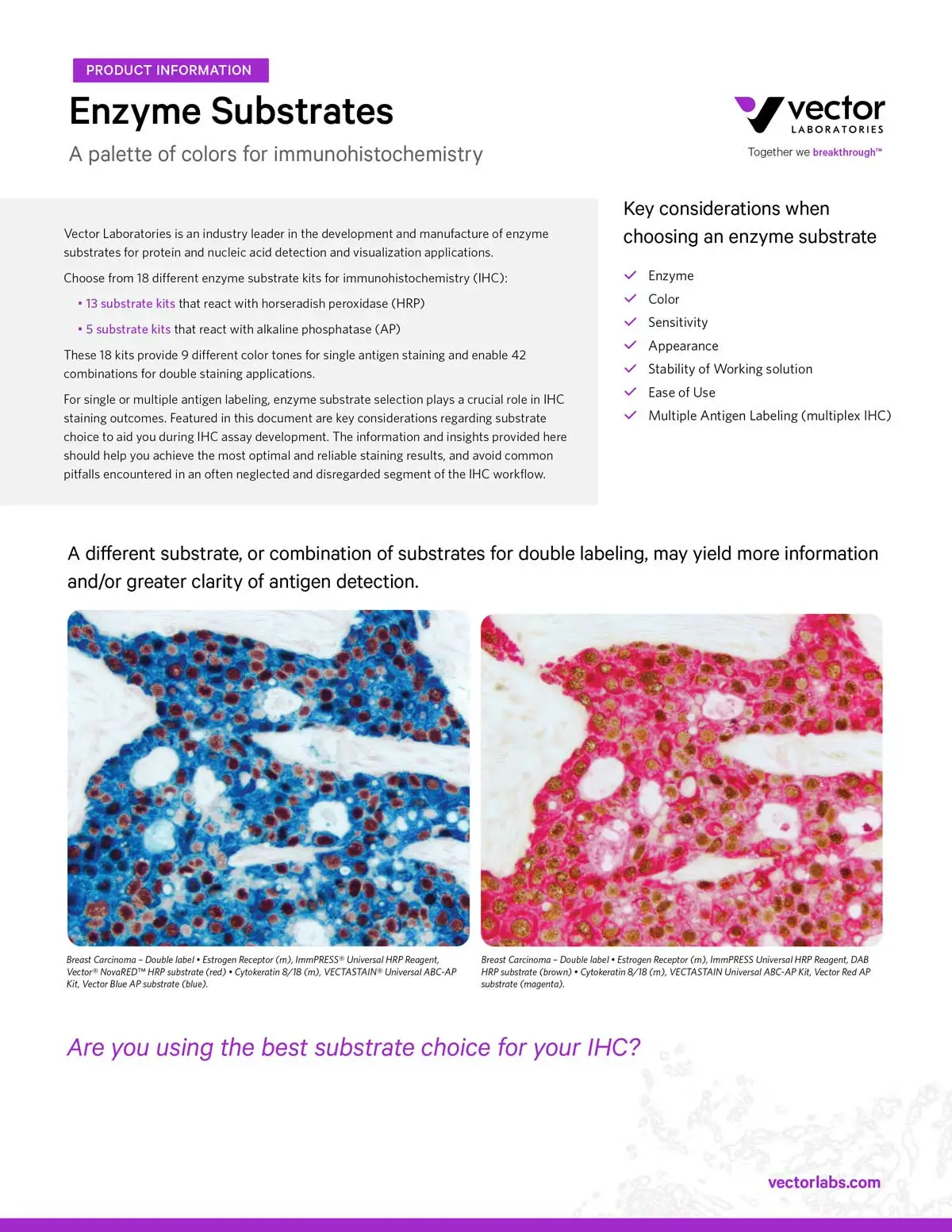 VL LIT3015 Enzyme Substrates Brochure Cover