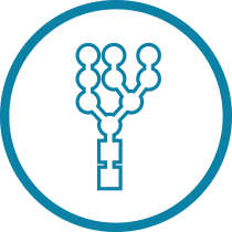 VL Lectin Glycobiology Icon 1 VL Lectin Glycobiology Icon 1