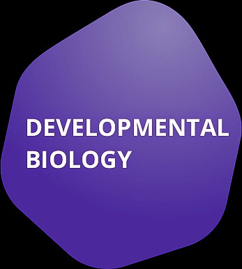Developmental Biology