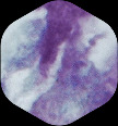 ihc why icon 01