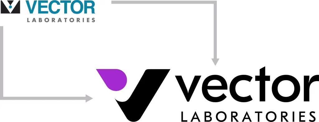 old logo new logo F 2 1024x394