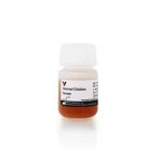 Normal Chicken Serum Blocking Solution