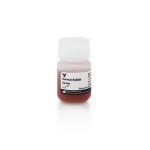 Normal Rabbit Serum Blocking Solution