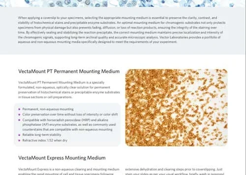 vectamount mounting media forihc