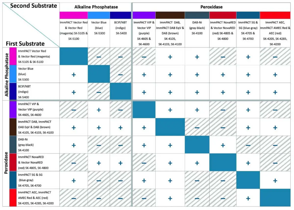 Enzyme Substrate Combinations 2 image