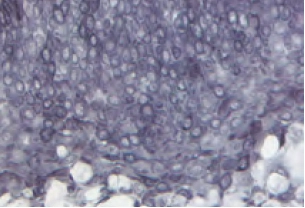 Enzyme Substrate Properties 3 image 52
