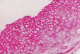 Enzyme Substrate Properties 4 image 54