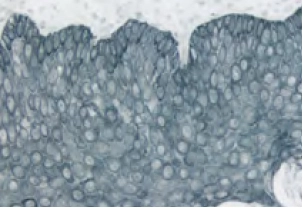 Enzyme Substrate Properties 5 image 55