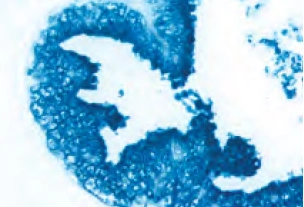 Enzyme Substrate Properties 13 image 75