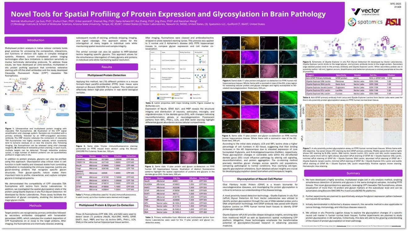 Spatial Profiling POSTER | Novel Tools For Spatial Profiling Expression And Glycosylation ...