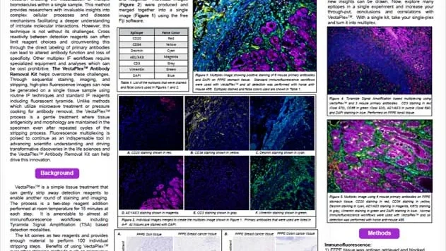 POSTER UnravellingComplexity VectaPlex