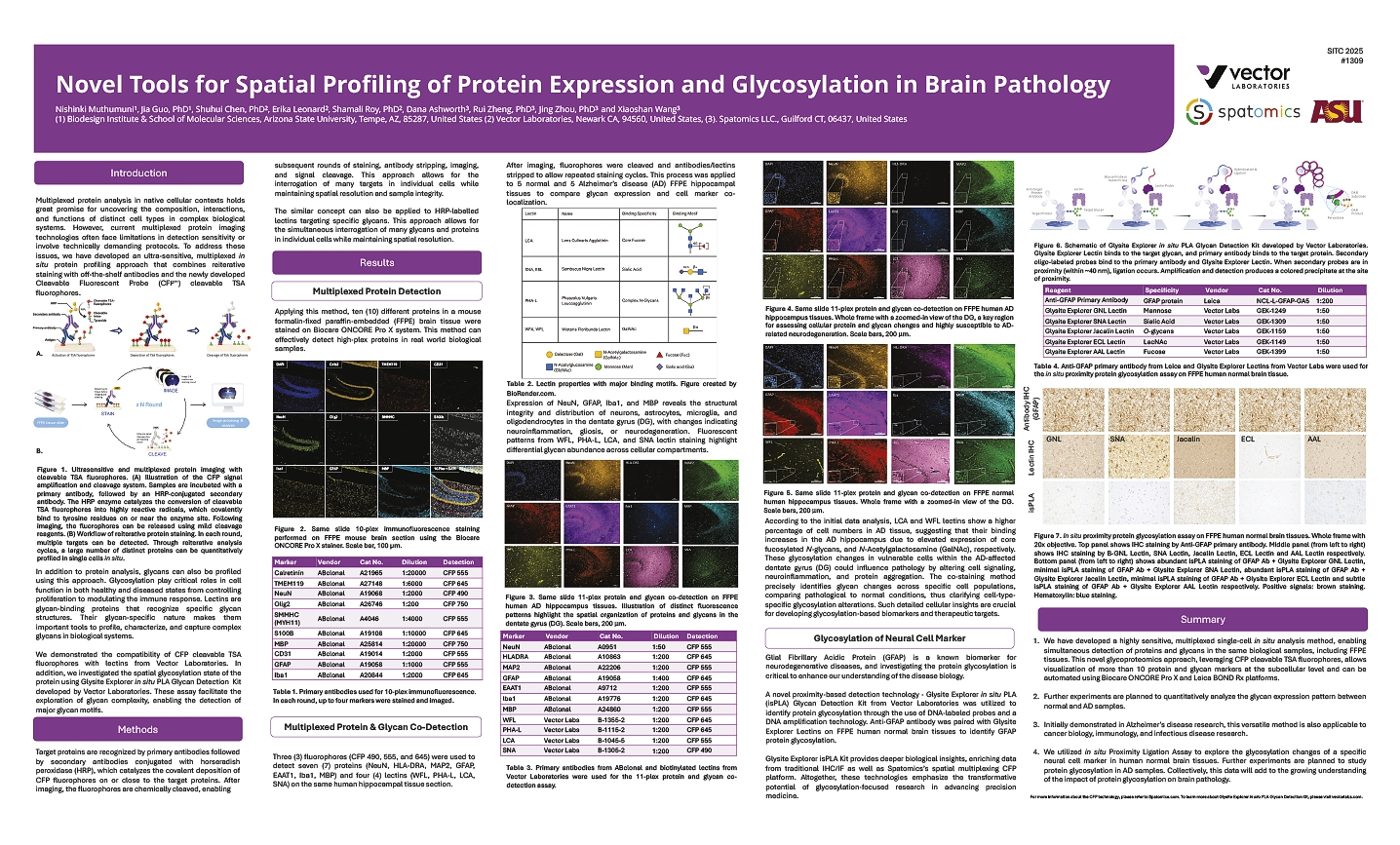 Novel Tools for Spatial Profiling of Protein Expression and Glycosylation in Brain Pathology