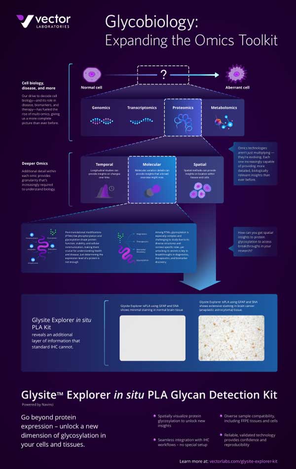 glycobiology brochure