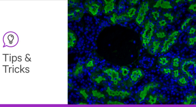 Glyco blog 2 tips and tricks header lg