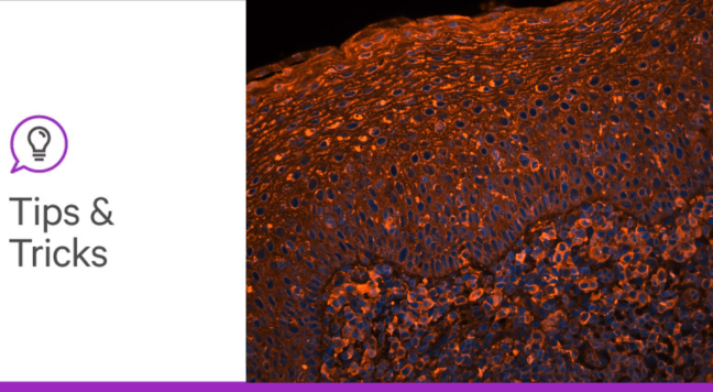 Glyco blog 3 tips and tricks header lg