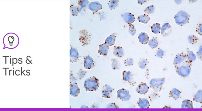 Glyco blog 4 tips and tricks header lg