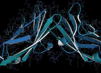 colon cancer blog header lg