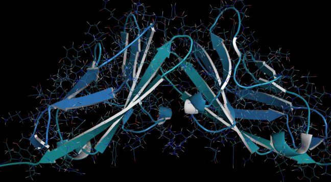 colon cancer blog header lg