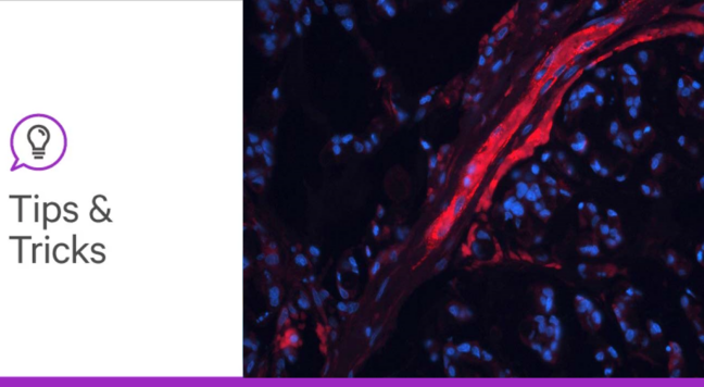Glyco blog 5 tips and tricks header lg