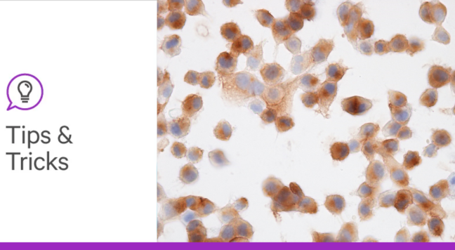 Glyco blog 6 tips and tricks header lg