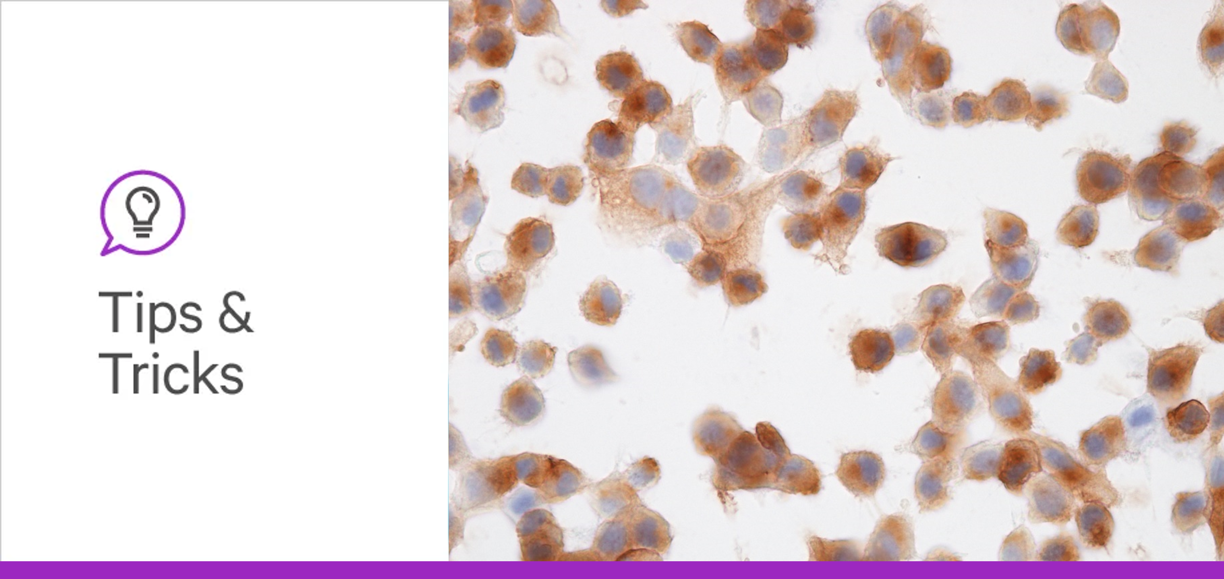 Glyco blog 6 tips and tricks header lg
