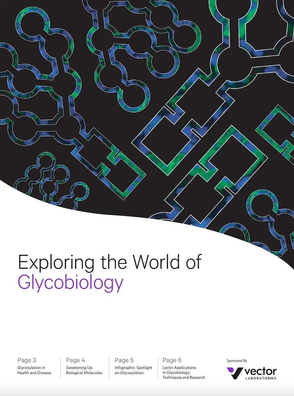 Glyco  Infographic Cover