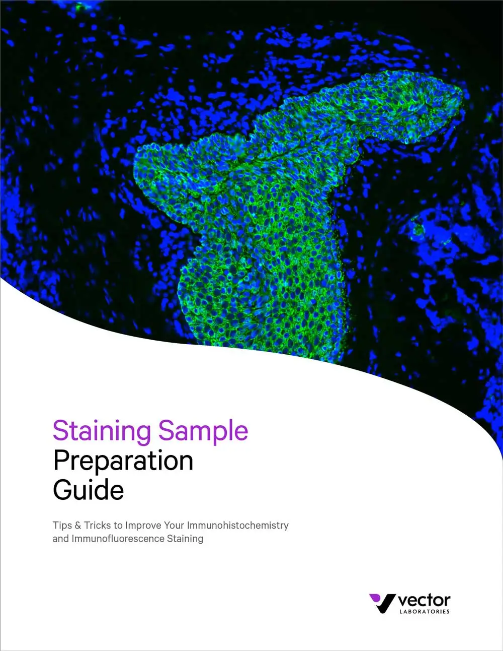 Sample Prep Guide Cover Image