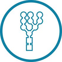 VL Lectin Glycobiology Icon 1 VL_Lectin_Glycobiology-Icon_1 VL_Lectin_Glycobiology-Icon_1