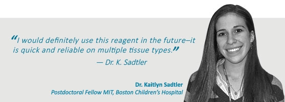 Dr Sadtler