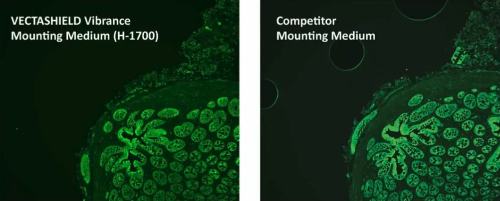 VECTASHIELD Vibrance Bubble Comparison