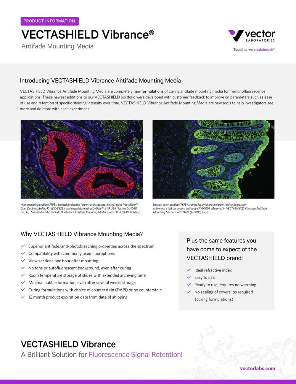 VECTASHIELD Vibrance Brochure